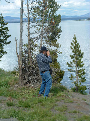 yelllake_m_604.jpg