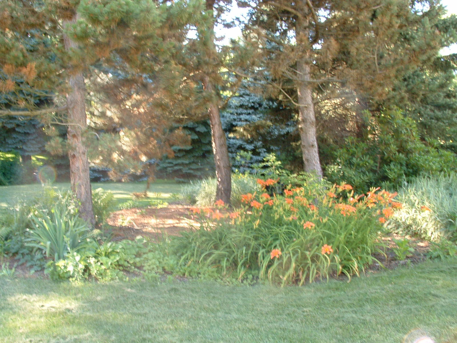 circle_l604.jpg